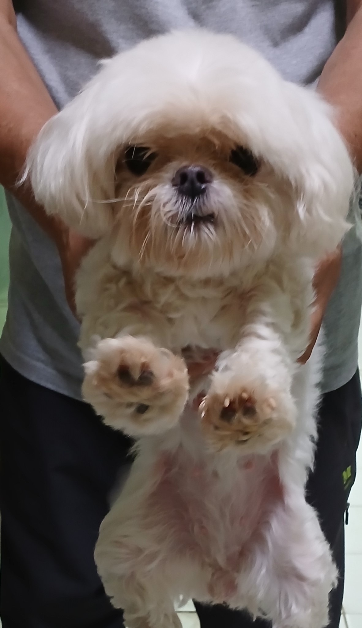대구유기동물보호센터_427342202400866